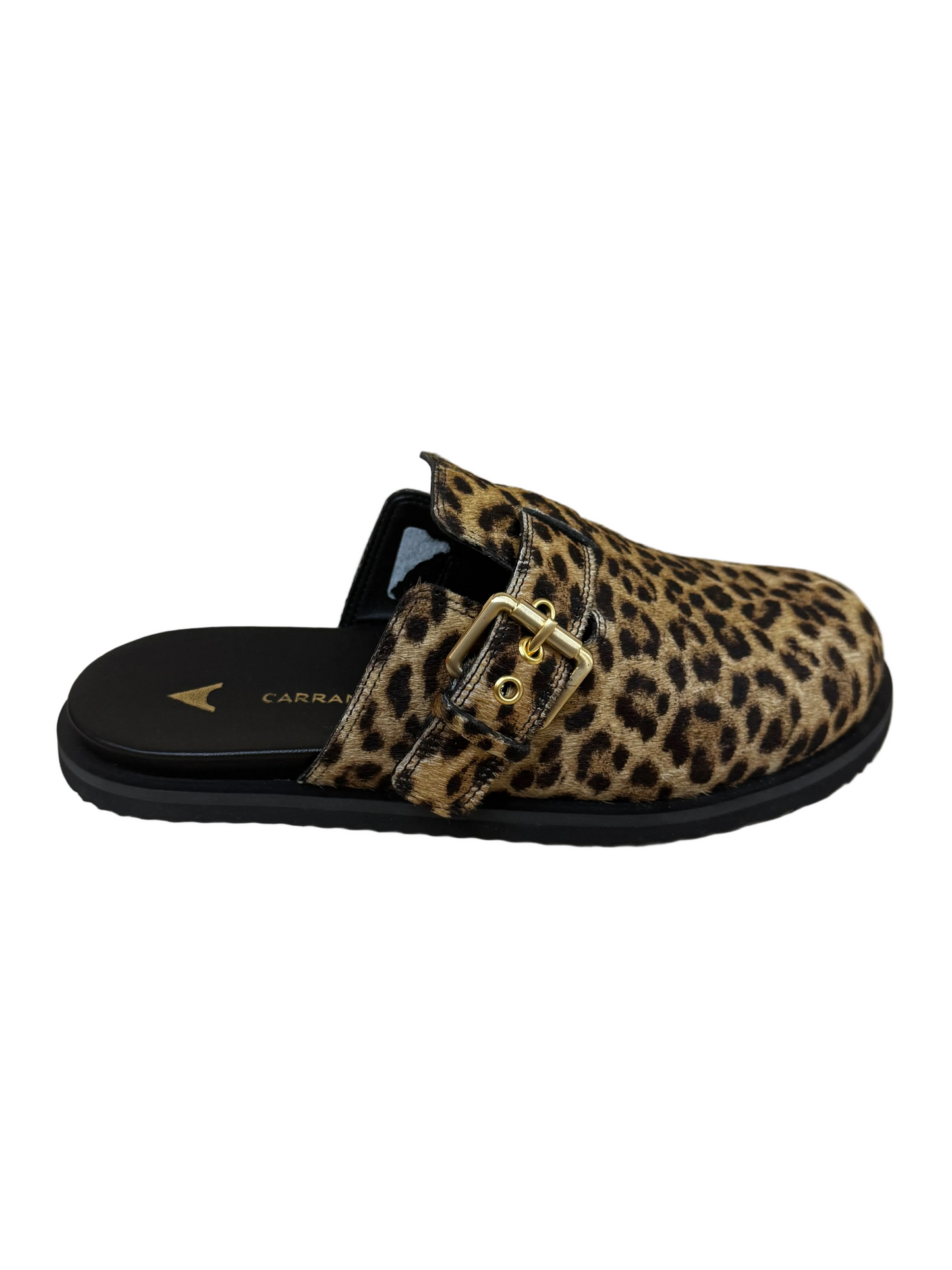 Beth Slides